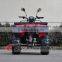 2015 Promotional Adult Fast Speed Cheap Chinese ATV (AT2009)