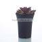 Plastic Flower Pots -Extral Large Size