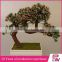 Home decoration mini artificial plant bonsai indoor plants supply