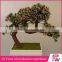 Home decoration artificial bonsai plants indoor plants supply