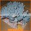 Vision spray decoration apparel shop paper window display prop