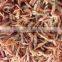 Dried Shrimp