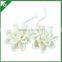 Fashion Artificial Handmade Sola Wood Flower for Fragrance Diffuser