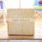Amazon hot selling soft cat sponge cushion bread fruits printing pillow