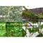 climbing plant support net&mesh pea&bean net&mesh extruded agriculture net&mesh(factory directly)