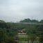 Chilling Glass Skywalk Park Facilities Glass Bridge Outdoor Play Equipment