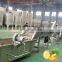 Automatic industrial pineapple fruit juice concentrate juicer pulp jam processing plant making machine