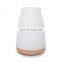 Best Oil Diffuser Supplier Manufacturer 100ml USB Aroma Diffuser