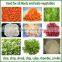 carrot cube cutting machine