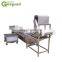 steam blanching machine for vegetable and fruit processing