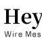 Anping Heyou Wire Mesh Productsco.ltd