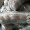 NYLON MONOFILAMENT FISHING NET---0.45MM---50MMSQ