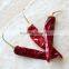 Hot sale good quality dry long American red chilli