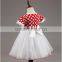 Lastest wholesale kids frocks designs chiffon birthday dresses for girls TR-WS34