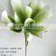 2015 hot sale artificial colored polyfoam 31" EVA calla lily stem for home decorations artificial flowers exporter