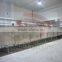 Vegetable Dryer Machine