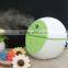 Hot Sales Diffuser Aromatherapy Essential Oil for Spa