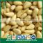 Bulk Direct Manufacturer Organic Red Pine Nut Kernels