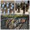 China Manufacturer Road Construction Equipment Tool Parts/Tungsten carbide Milling Bit