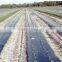 black mulch plastic mulch film for agriculture
