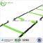 Zhensheng sport accessories agility ladder