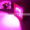 Shenzhen Led Grow Light Manufacture 100W 200W Led Grow Light COB Full Spectrum