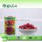 good quality chinese canned red kidney beans