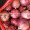 China Origin Onion Ton Market Price for Red Onion