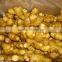 FRESH GINGER 200G UP FOR ALL MARKET