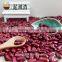 Polished hand pick selected Dark red kidney bean for cannery