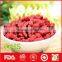 Bulk dried goji berries with wholesale price
