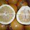 New crop fresh pomelo fruit market prices