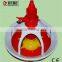 automatic auger poultry broiler feeding system