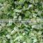 TW-806 Electric Vegetable Dicer Machine