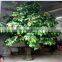 SJZJN 930 Fake Red Apple Tree/High Quality And High Imitation Product/Lowest Price Fruit Tree