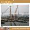 Installation for Highway Passenger Foot-bridge, The Whole Hoisting for Footbridge in Industrial area(BF08-Y10056)