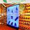 Useful Lighted Acrylic Display Case Reception Desk