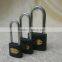 Grey Iron Padlock