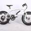 2017 New design 20 inch 36V 350W non-foldable electric fat bike
