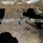 Multifunctional outdoor shovel EXS-4