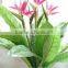 indoor foliage artificial plant artificial potted plants