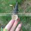 Black tonkin bamboo cane/pole