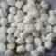 Modified starch machine