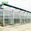 China Greenhouses / greenhouse polycarbonate Low price