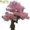 6.7m Large Outdoor Fiberglass trunk Garden decoration Artificial Cherry Blossom Tree