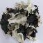 Dried White Back Black Fungus Mushroom Slices