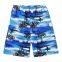 beach shorts       Summer men's quick-drying swimwear breathable shorts running custom beach