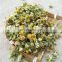oem organic dried chamomile flower loose tea chamomile tea