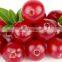 Anthocyanin/cranberry extract Anthocyanin / powder