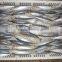 China seafood of Whole Round Scad